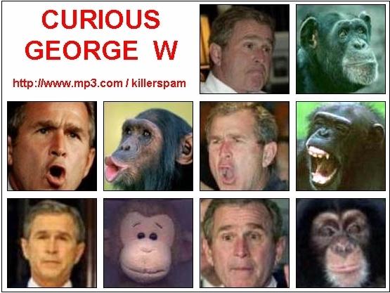 Bush_-_Curious_Monkey.jpg